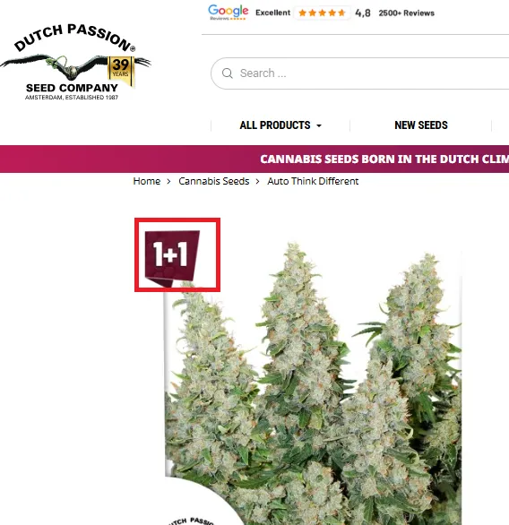 Dutch passion Bogo offer