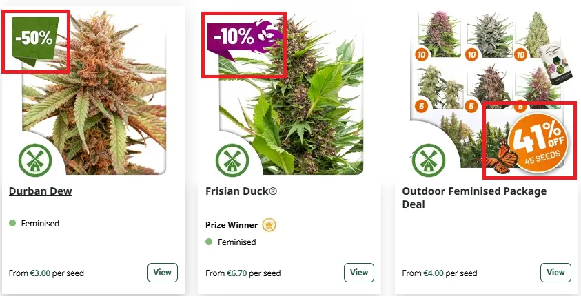 Dutch passion 50% Discount Offer